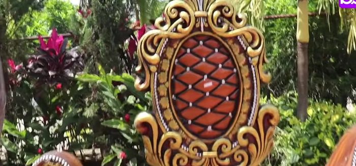 Carved oval-back thrones, photo 1